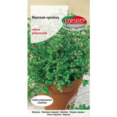 nasiona Majeranek, Majorana hortensis 100g - Torseed