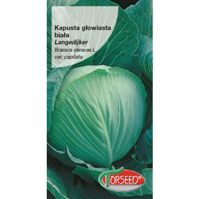 Nasiona Kapusta głowiasta biała Langedijker Dauer 2g - Torseed