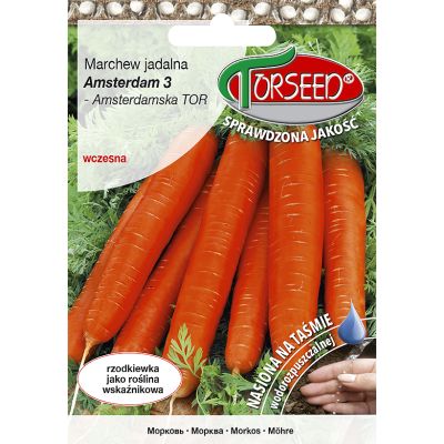 Nasiona Marchew jad. Amsterdam 3 - Amsterdamska TOR TAŚMA 300szt - Torseed