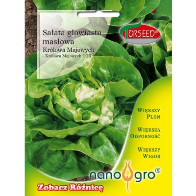 Nasiona Sałata głowiasta masłowa Królowa Majowych Torseed- Torseed
