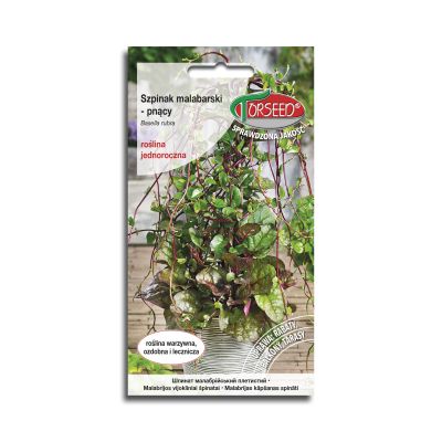 Nasiona Szpinaku Malabarskiego pnący 10szt. Basella rubra - Torseed