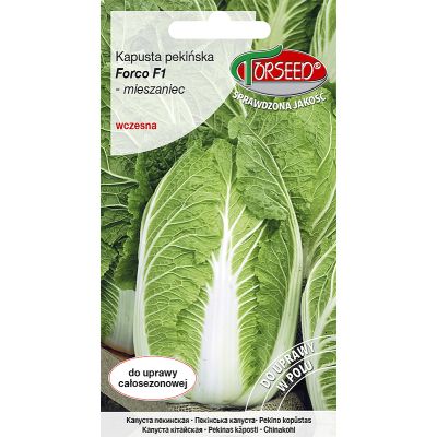 Nasiona Kapusta pekińska Forco F1 0,5g - Torseed