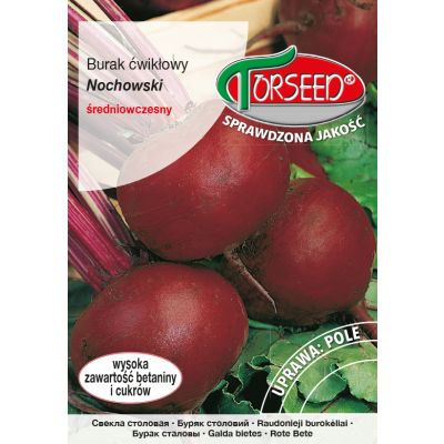Nasiona Burak ćwikłowy Nochowski 10g - Torseed