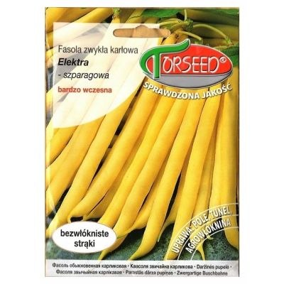 nasiona Fasola szparagowa zwykła karłowa, Elektra 30g Torseed- Torseed