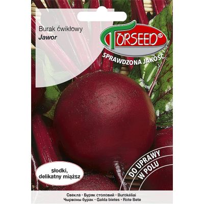 Nasiona Burak ćwikłowy Jawor 10g - Torseed