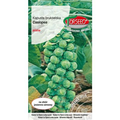 Nasiona Kapusta brukselska Casiopea 2g - Torseed