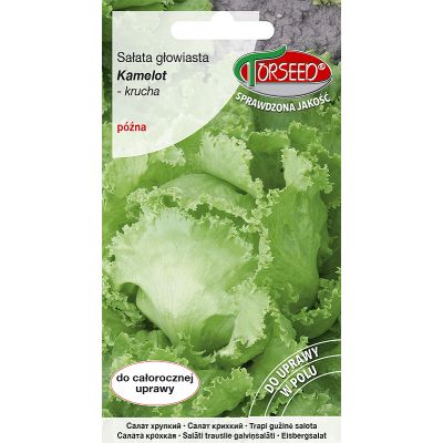Nasiona Sałata głow krucha (do upr.w tunelu i w polu) Kamelot 0,5g - Torseed