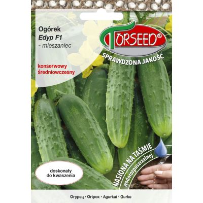 Nasiona Ogórek gruntowy Edyp F1 TAŚMA 40szt - Torseed
