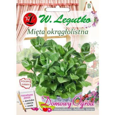 Nasiona Mięta okrągłolistna 0.10g na balkon i taras - W.Legutko