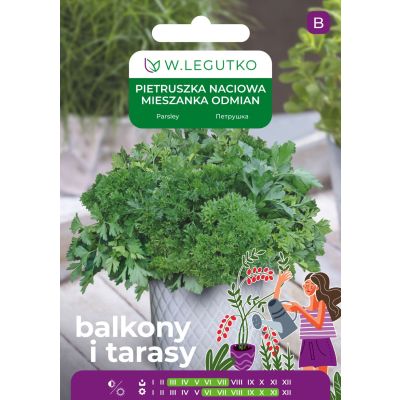 Nasiona Pietruszka mieszanka odmian 5g na balkon i taras - W.Legutko