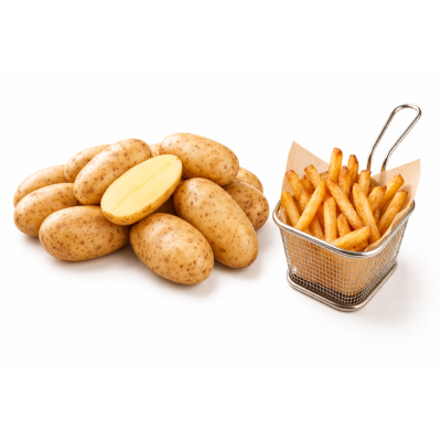 Ziemniak innovator 1 kg - Schronisko Bukowina