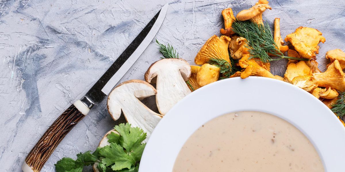 Zupa grzybowa ze świeżych lub suszonych grzybów