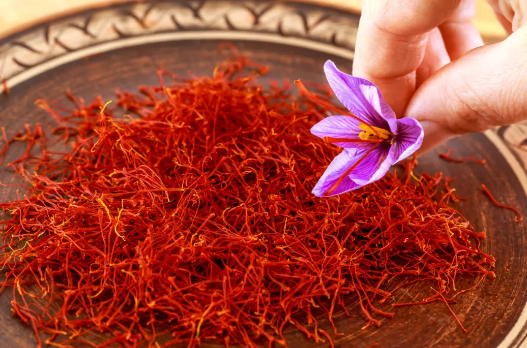szafran